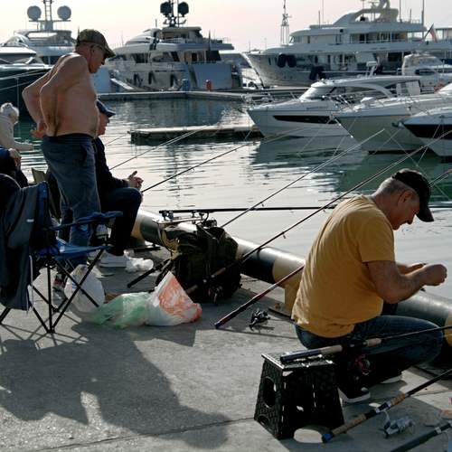 Photo #12153025