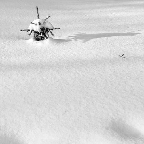 Winter minimal