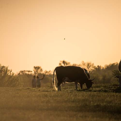 Photo #12153254