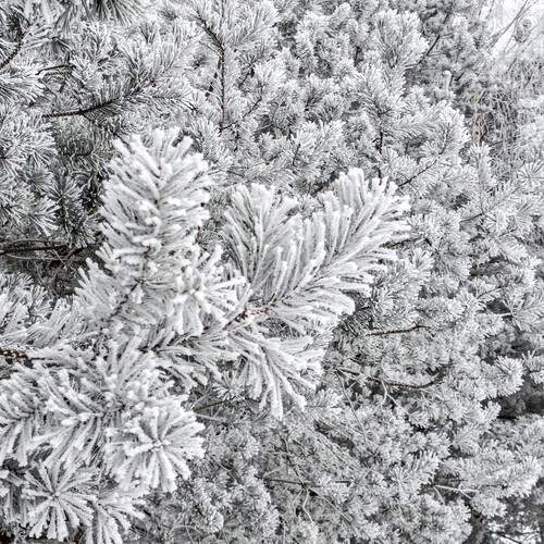 Photo #12153409