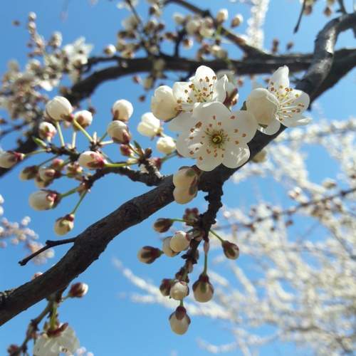 Photo #12153466