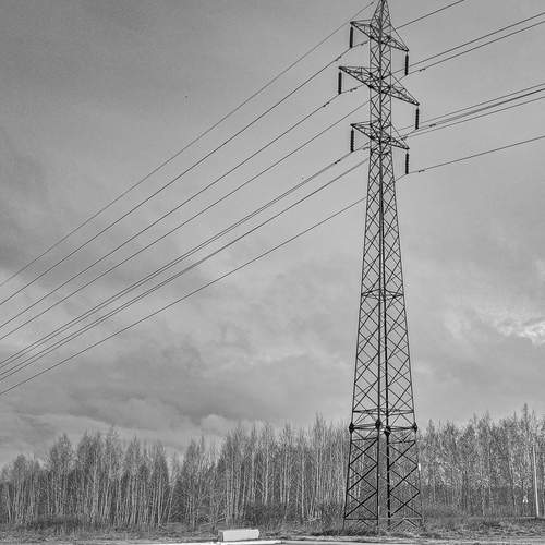 Photo #12154587