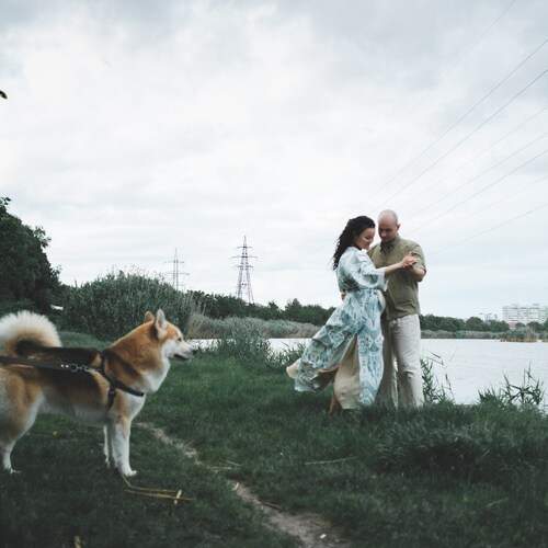 Photo #12154845