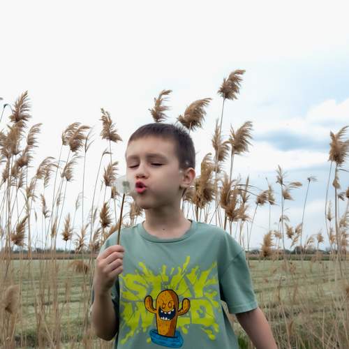 Photo #12154955