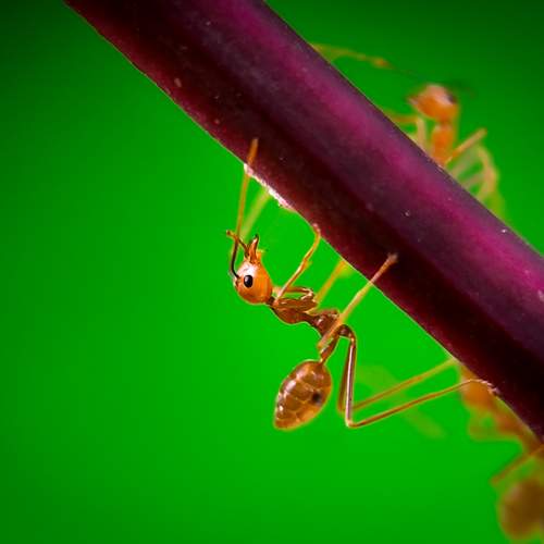 Photo #12155051