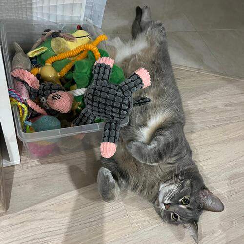 Photo #12155060