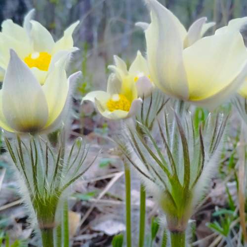 Photo #12155124