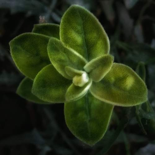 Photo #12155201