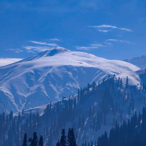 Photo #12155318