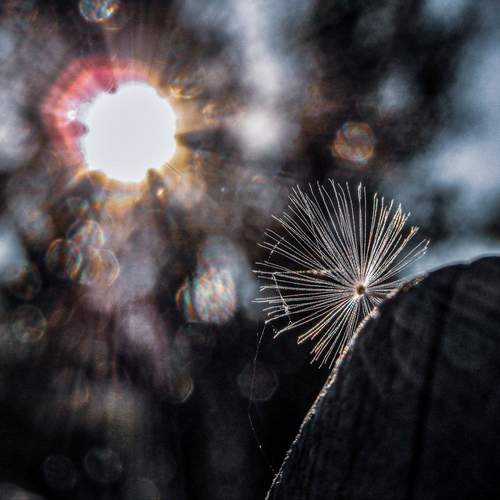 Photo #12155648