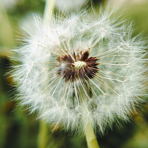 Photo #12155649