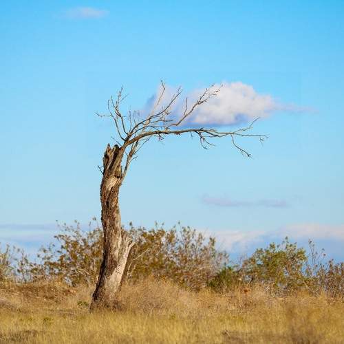 Photo #12155758