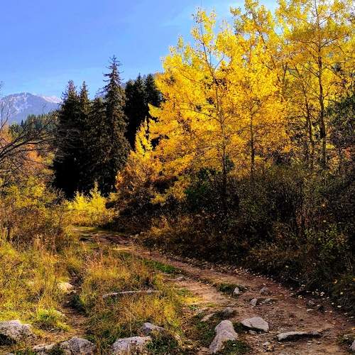 Photo #12156766