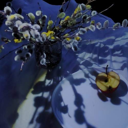 Photo #12156822