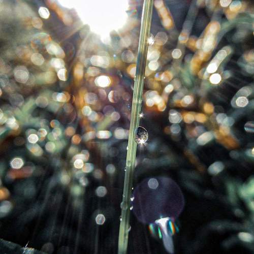 Photo #12156825