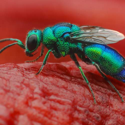Photo #12156926