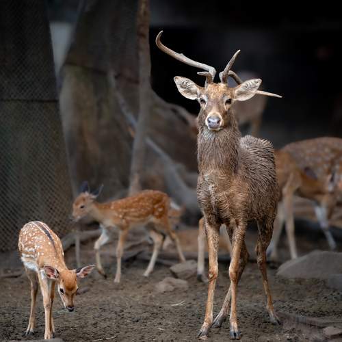 Photo #12156952