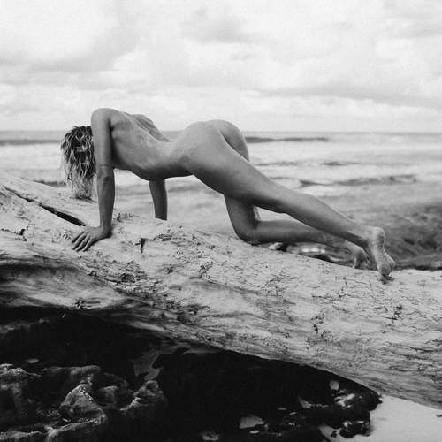 Photo #12156983