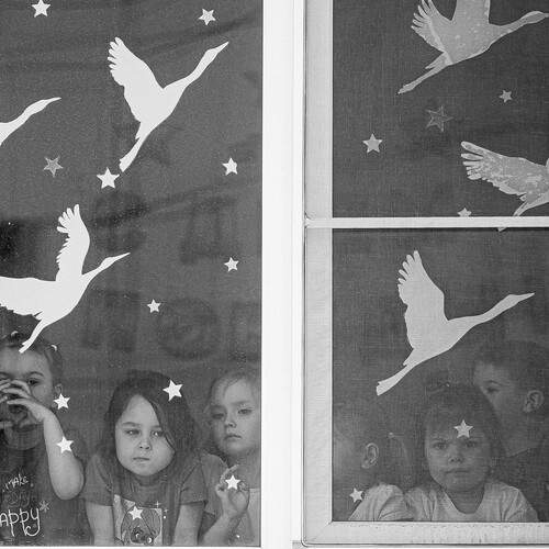 Photo #12157093