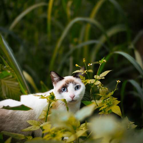 Photo #12157349
