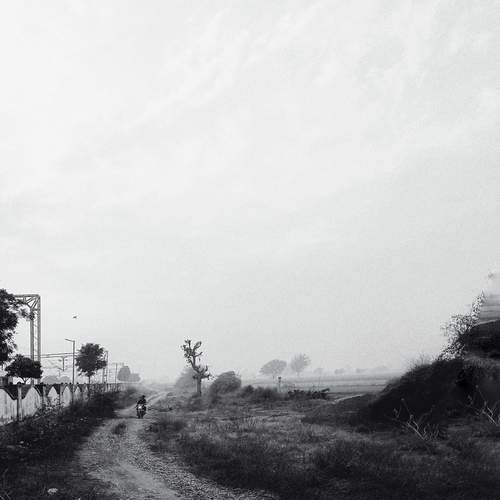 Photo #12157473