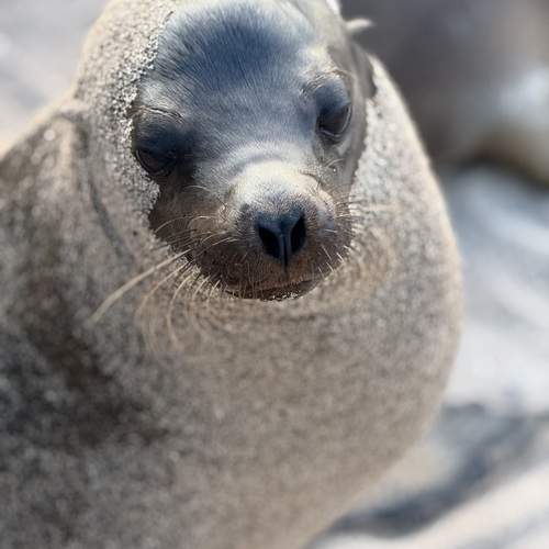 Photo #12157711