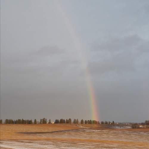 Photo #12159180