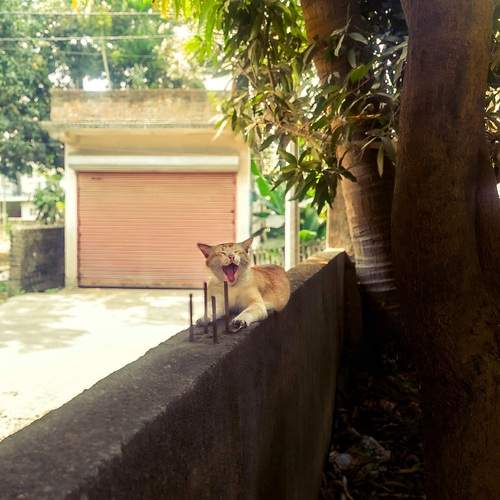 Photo #12159217