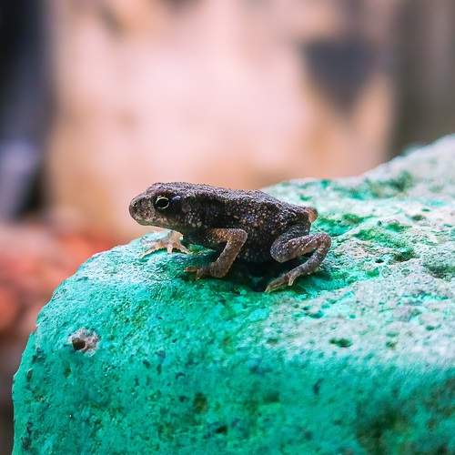Photo #12159218