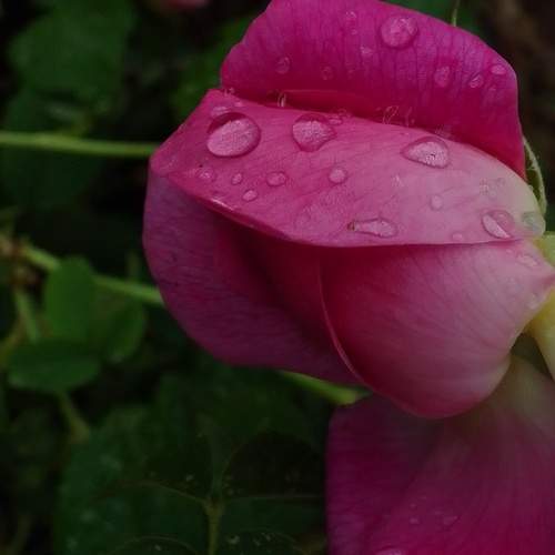 Photo #12159723