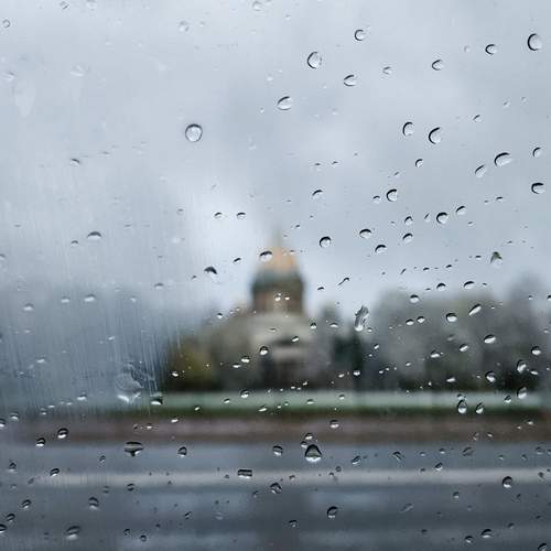 Photo #12160442
