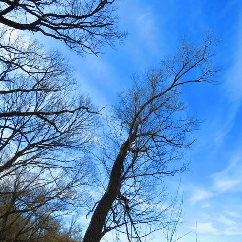 Photo #12160730