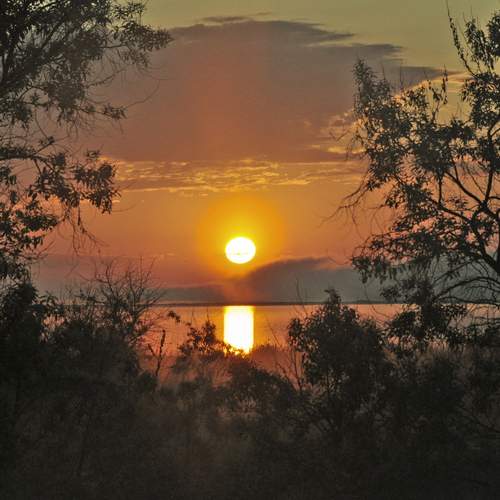 Photo #12160815