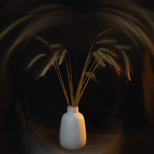 Photo #12161226