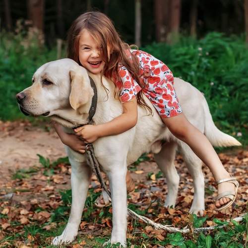 Photo #12161246