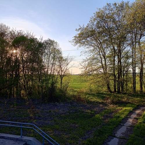 Photo #12161282