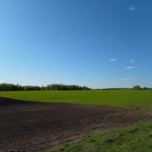 Photo #12161286