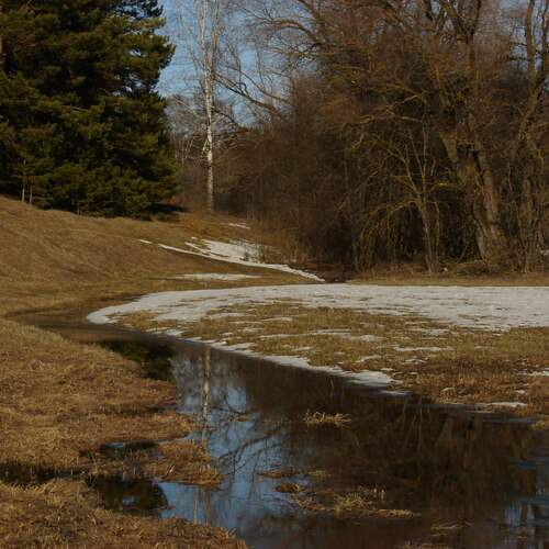 Photo #12161694