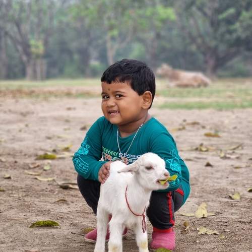 Photo #12162008