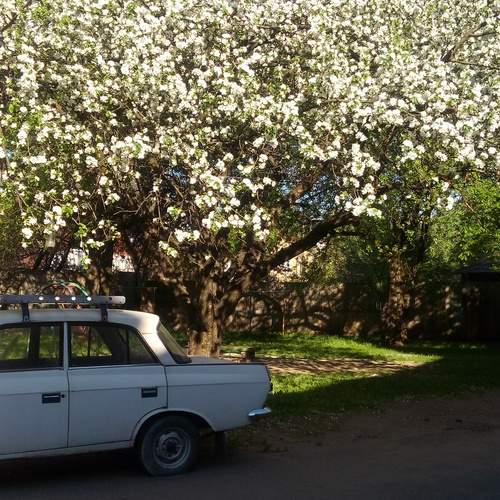 Photo #12162098