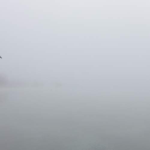 Фотография #12162149