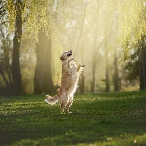 Photo #12162244