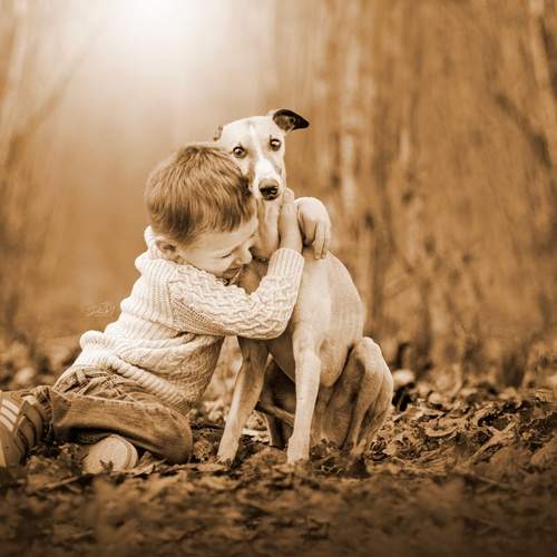 Photo #12162250