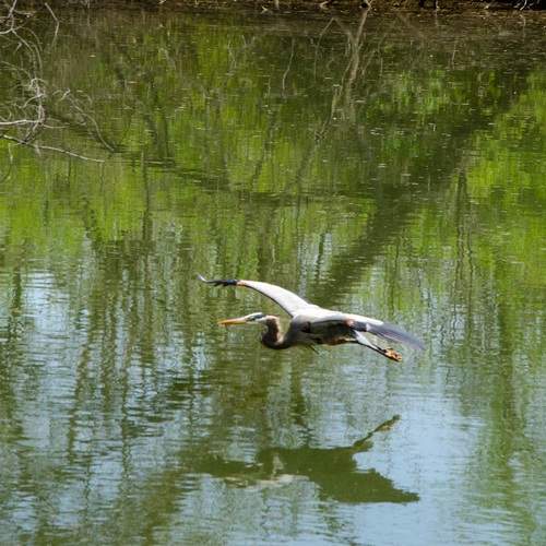 Photo #12162368
