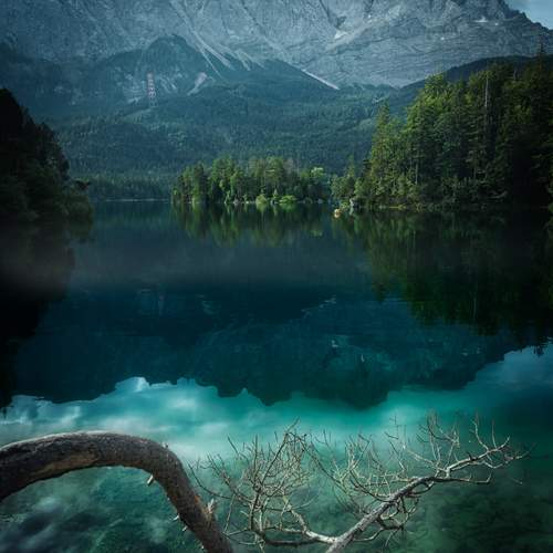 Фотография #12162488