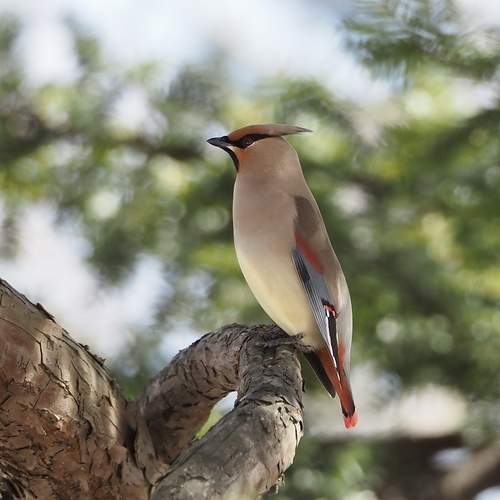 Photo #12162594