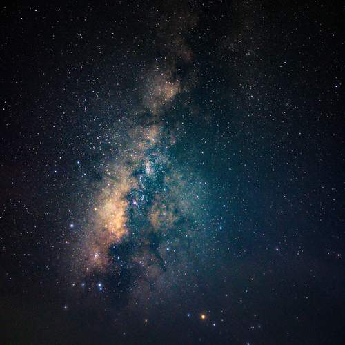 Photo #12162608
