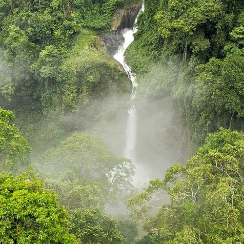 Photo #12162679
