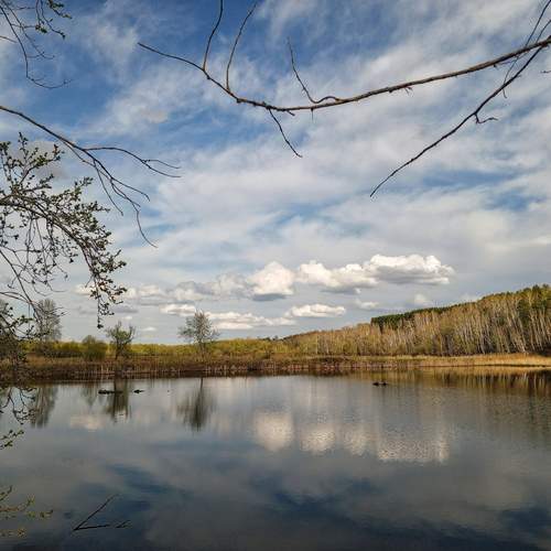 Photo #12162844