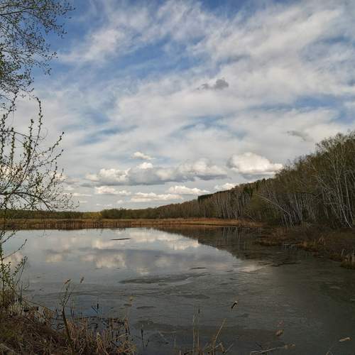 Photo #12162848